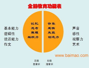 山東臨沂與臨沭全腦開發(fā)服務(wù) 可靠提供商、廠家與價(jià)格咨詢指南